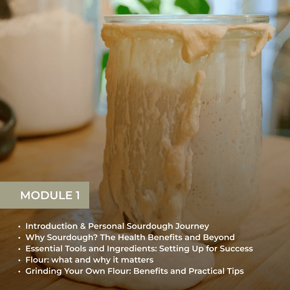 Module 1 showing a jar of sourdough starter with topics: Introduction & Personal Sourdough Journey, Health Benefits, Essential Tools and Ingredients, Flour importance, and Grinding Your Own Flour.