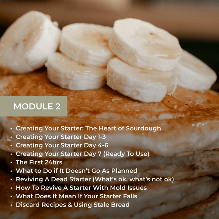 Module 2 showing sliced banana on bread with topics: Creating Your Starter (Days 1-7), The First 24hrs, Troubleshooting, Reviving Dead or Moldy Starters, and Discard Recipes.