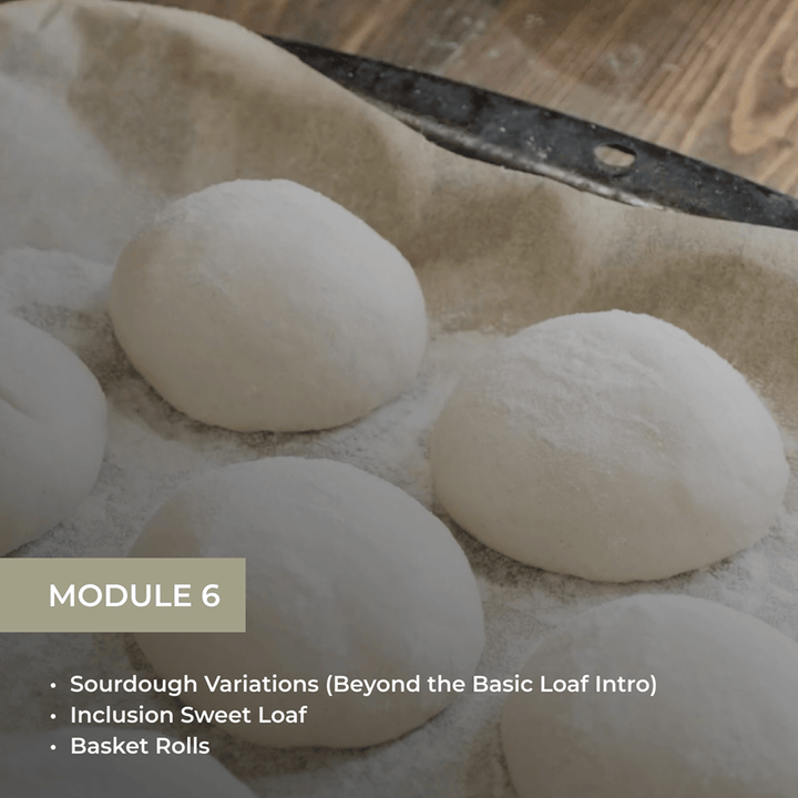 Module 6 showing shaped dough portions with topics: Sourdough Variations (Beyond the Basic Loaf), Inclusion Sweet Loaf, and Basket Rolls.