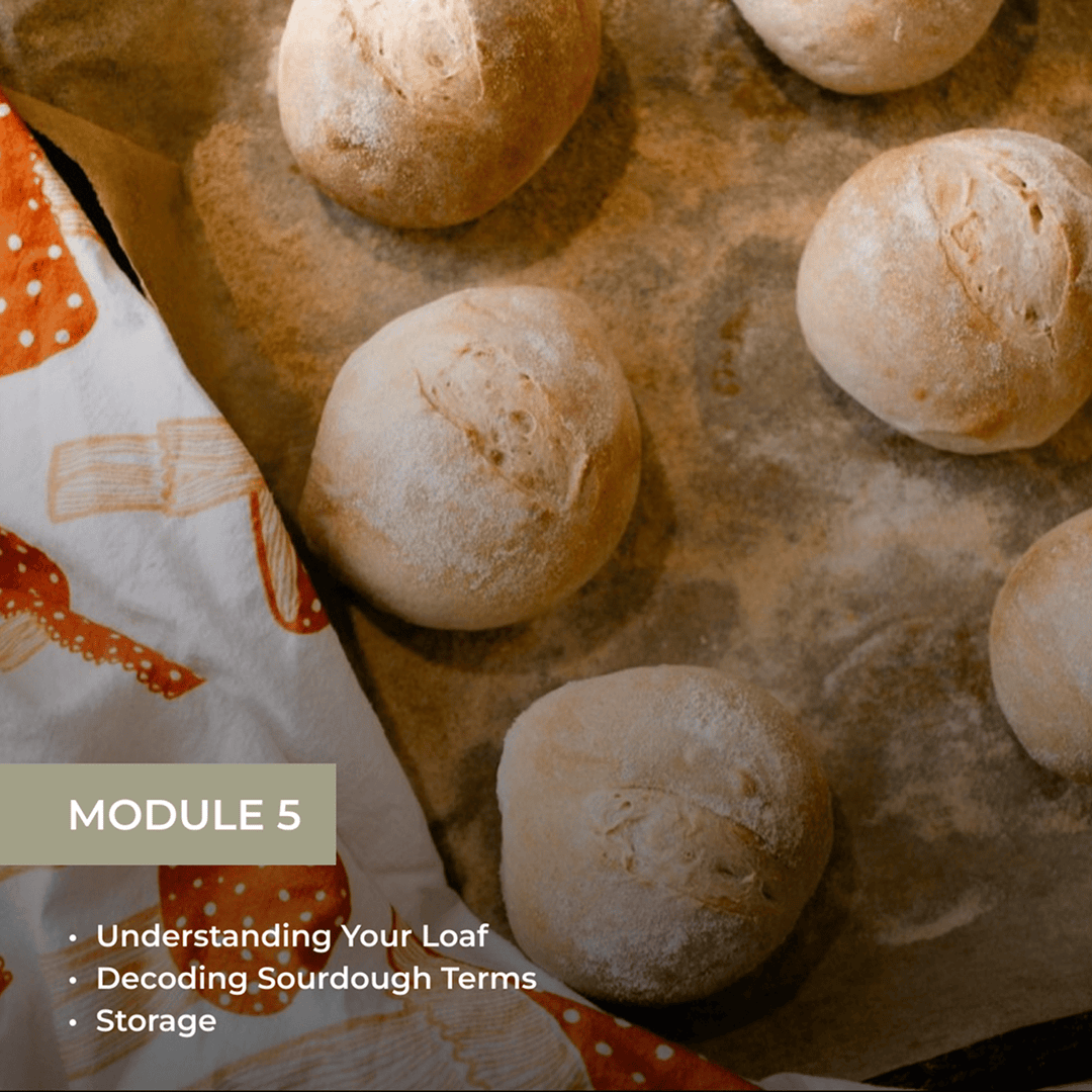 Module 5 showing baked sourdough rolls with topics: Understanding Your Loaf, Decoding Sourdough Terms, and Storage.
