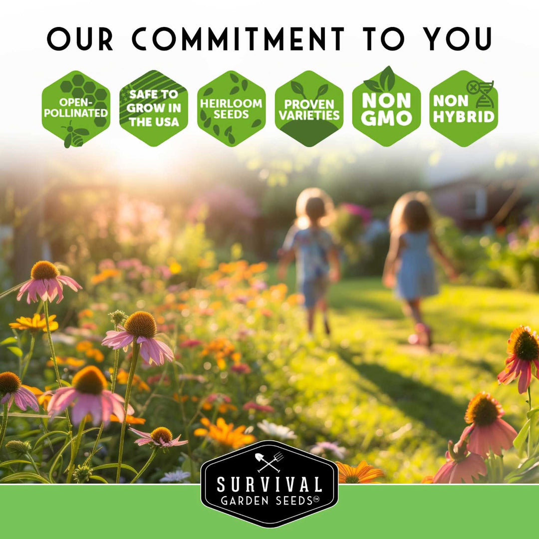 Pollinator Flower Seed Collection - Wildflower Mixes for Bees, Butterflies & Hummingbirds