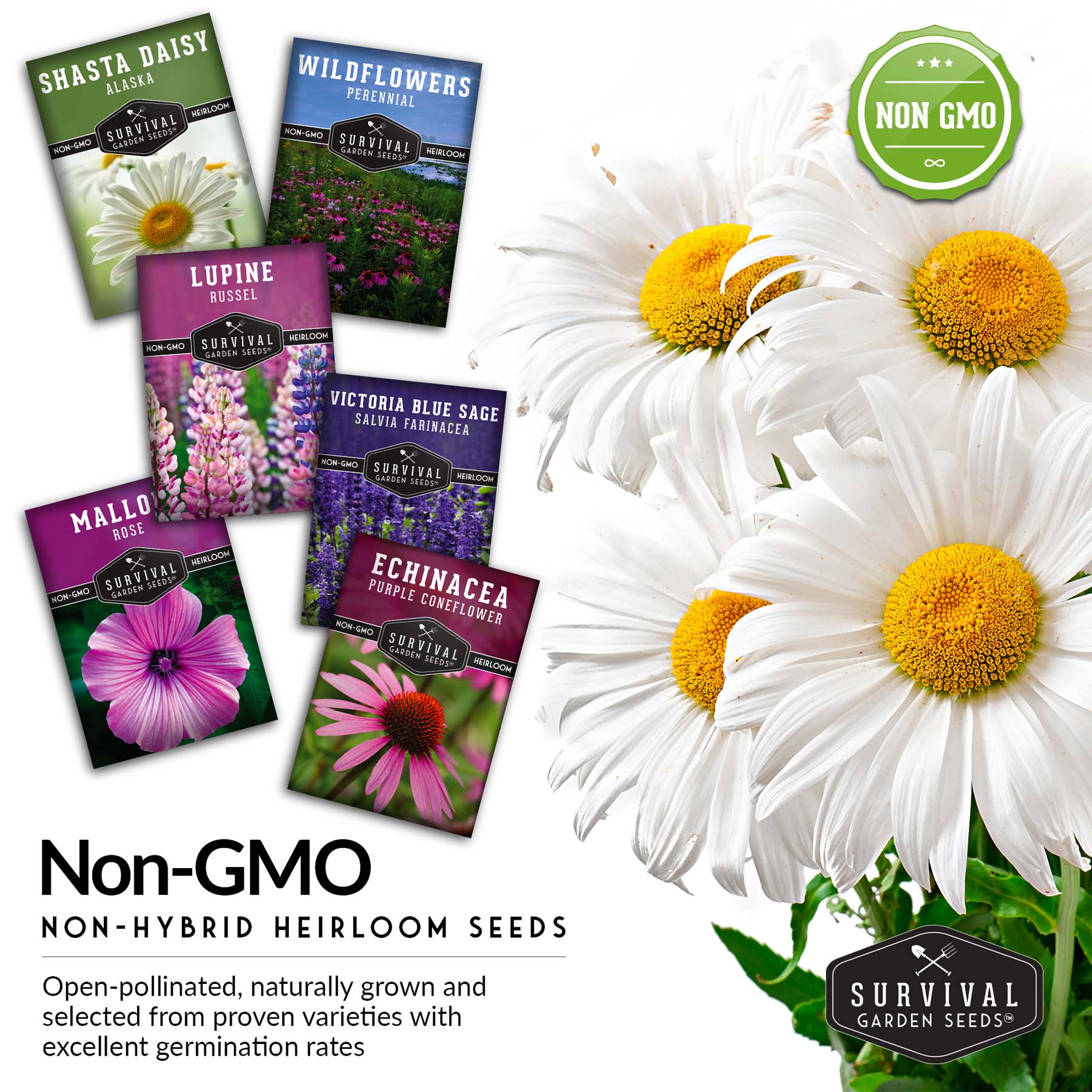 perennial flower seeds Perennial Flowers Mix 6 Seed Pack - Shasta Daisy, Echinacea, Russell Lupine, Rose Mallow, Blue Sage, Wildflowers