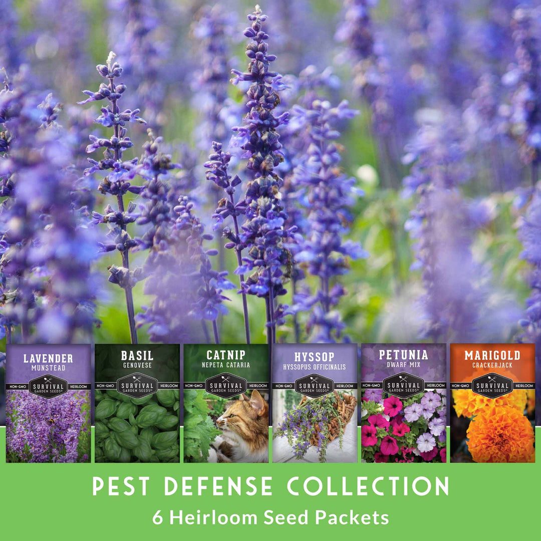 lavender plants for pest control Pest Defense Seed Collection – 6 Heirloom Herbs & Flowers for Natural