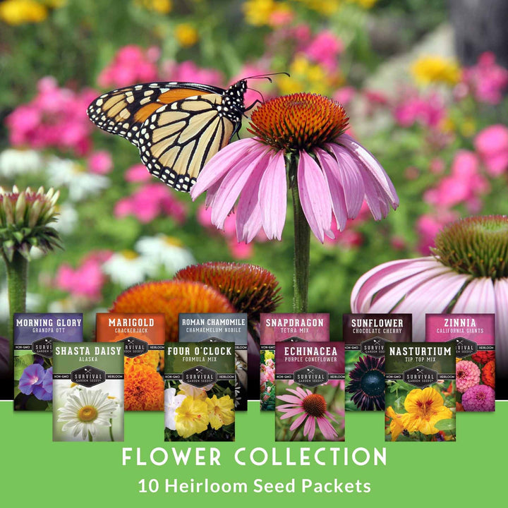 10 Flower Seed Collection - 10 Colorful & Useful Flower Varieties