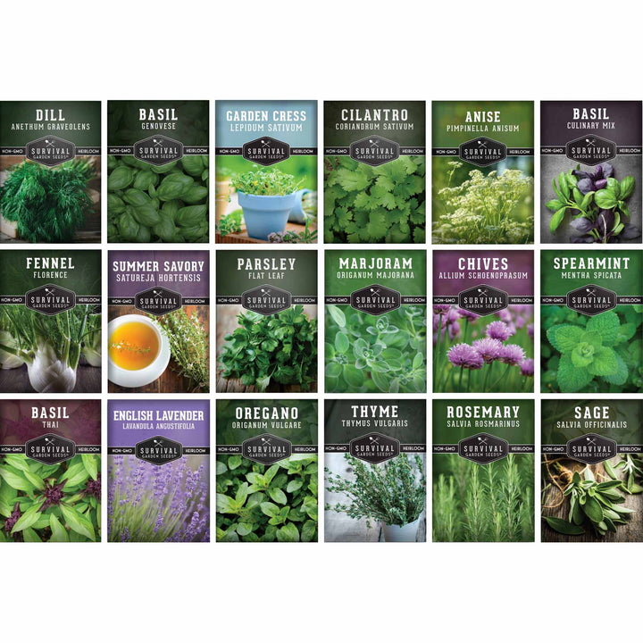 18 Culinary Herb Seed Collection – Heirloom Herbs for Cooking, Teas, Remedies & Year-Round Kitchen Gardens