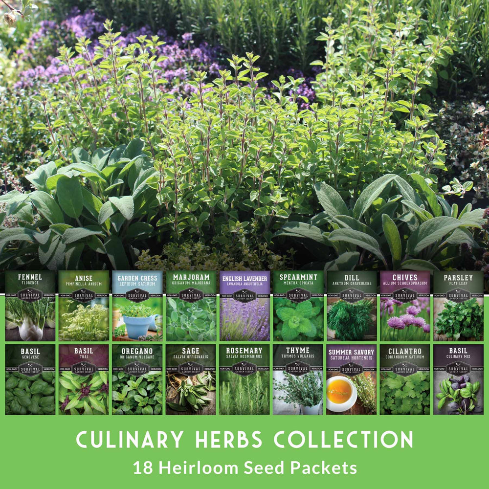 cook's garden seeds 18 Culinary Herb Seed Collection