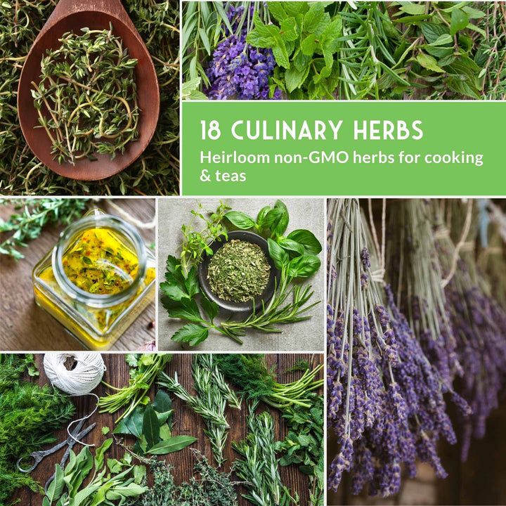 18 Culinary Herb Seed Collection – Heirloom Herbs for Cooking, Teas, Remedies & Year-Round Kitchen Gardens