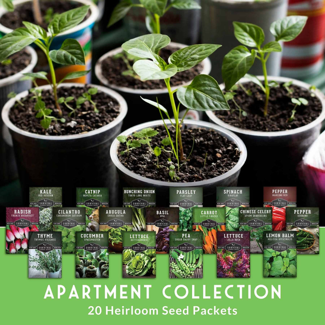 container garden seed collection Apartment Kit 20 Heirloom Seed Vault