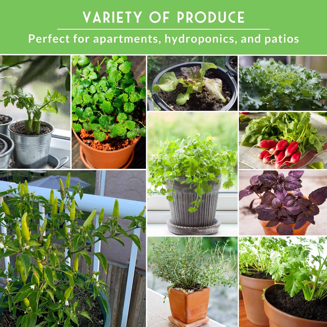 container garden seed collection Apartment Kit 20 Heirloom Seed Vault