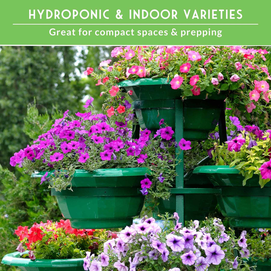 Apartment Kit Seed Vault - 20 Container Friendly Varieties