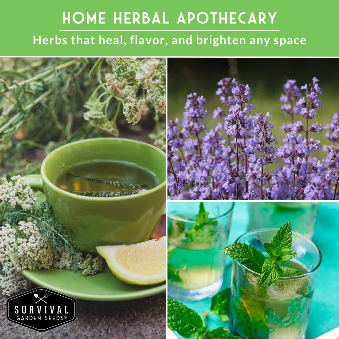 Medicinal Tea Seed Collection - 9 Flowers and Herbs for Medicinal Tea