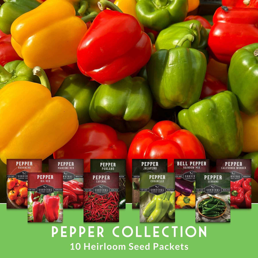 10 Variety Pepper Seed Collection – Non-GMO Heirloom Hot & Sweet Peppers for Garden, Container, or Greenhouse Growing