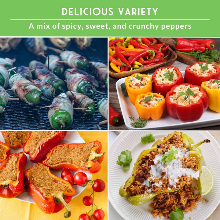 10 Variety Pepper Seed Collection – Non-GMO Heirloom Hot & Sweet Peppers for Garden, Container, or Greenhouse Growing