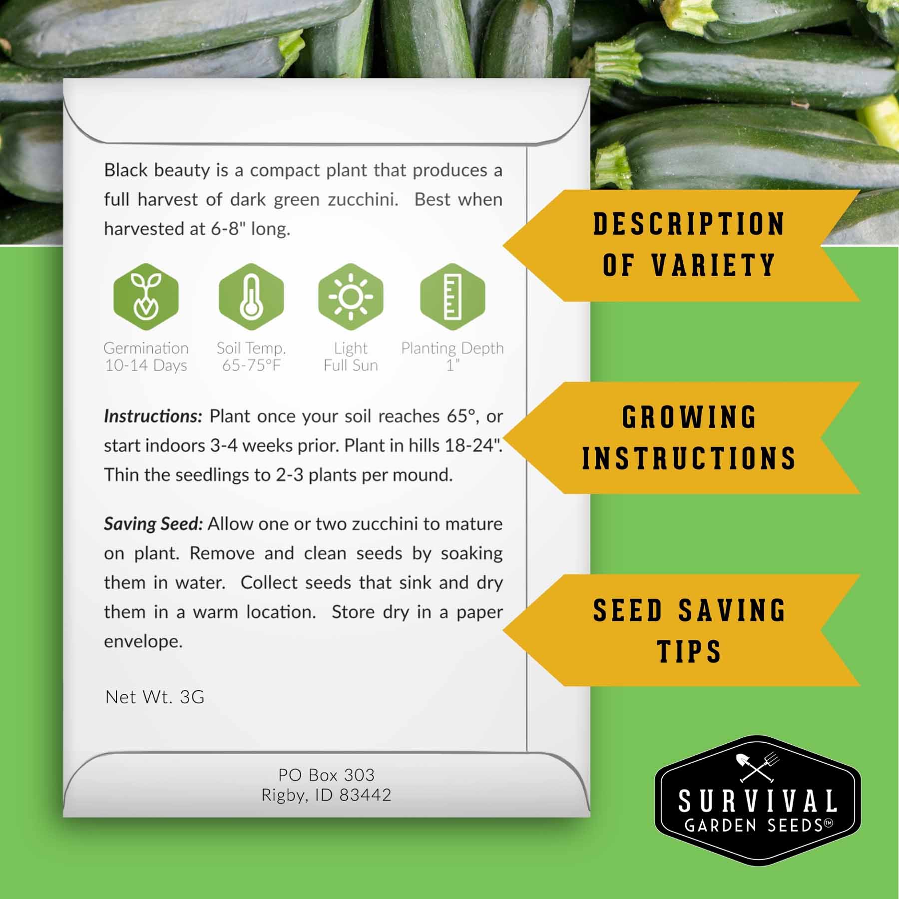 squash seed planting depth Zucchini & Summer Squash Collection