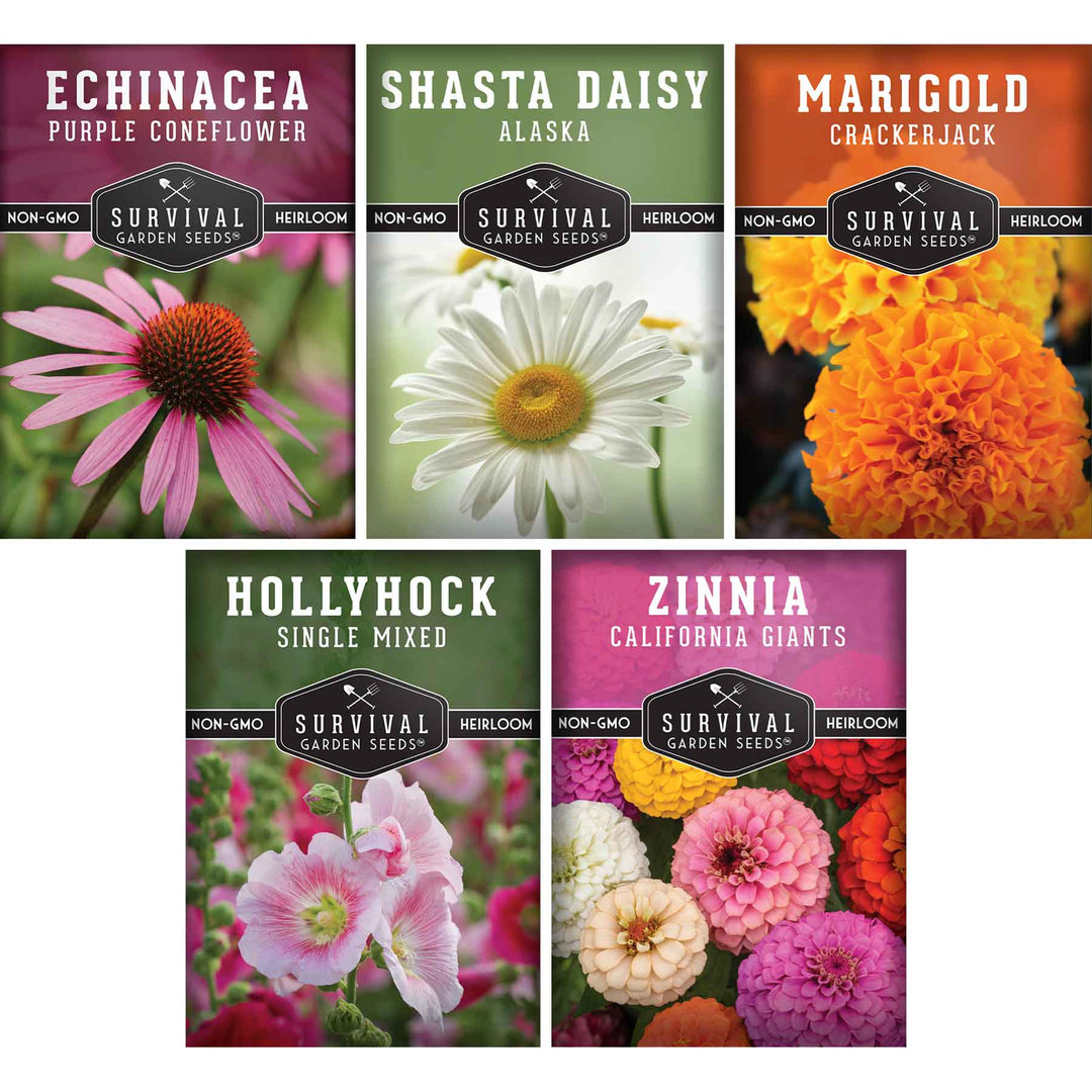 flower seed packet 5 Flower Seed Collection