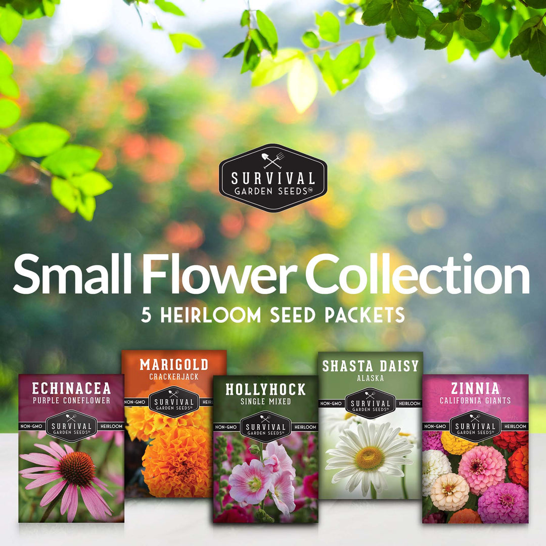 purple flower seed packets 5 Flower Seed Collection