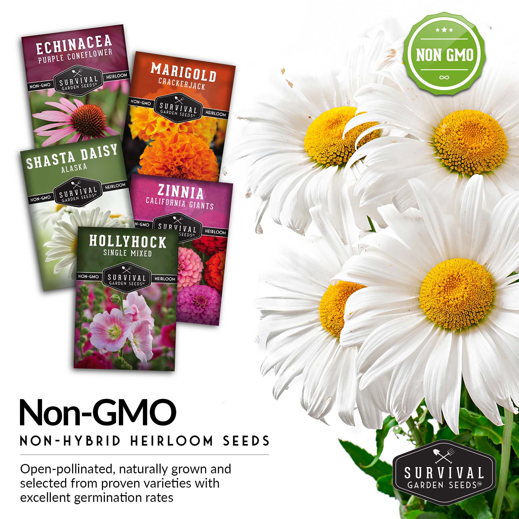 amazon flower seeds 5 Flower Seed Collection