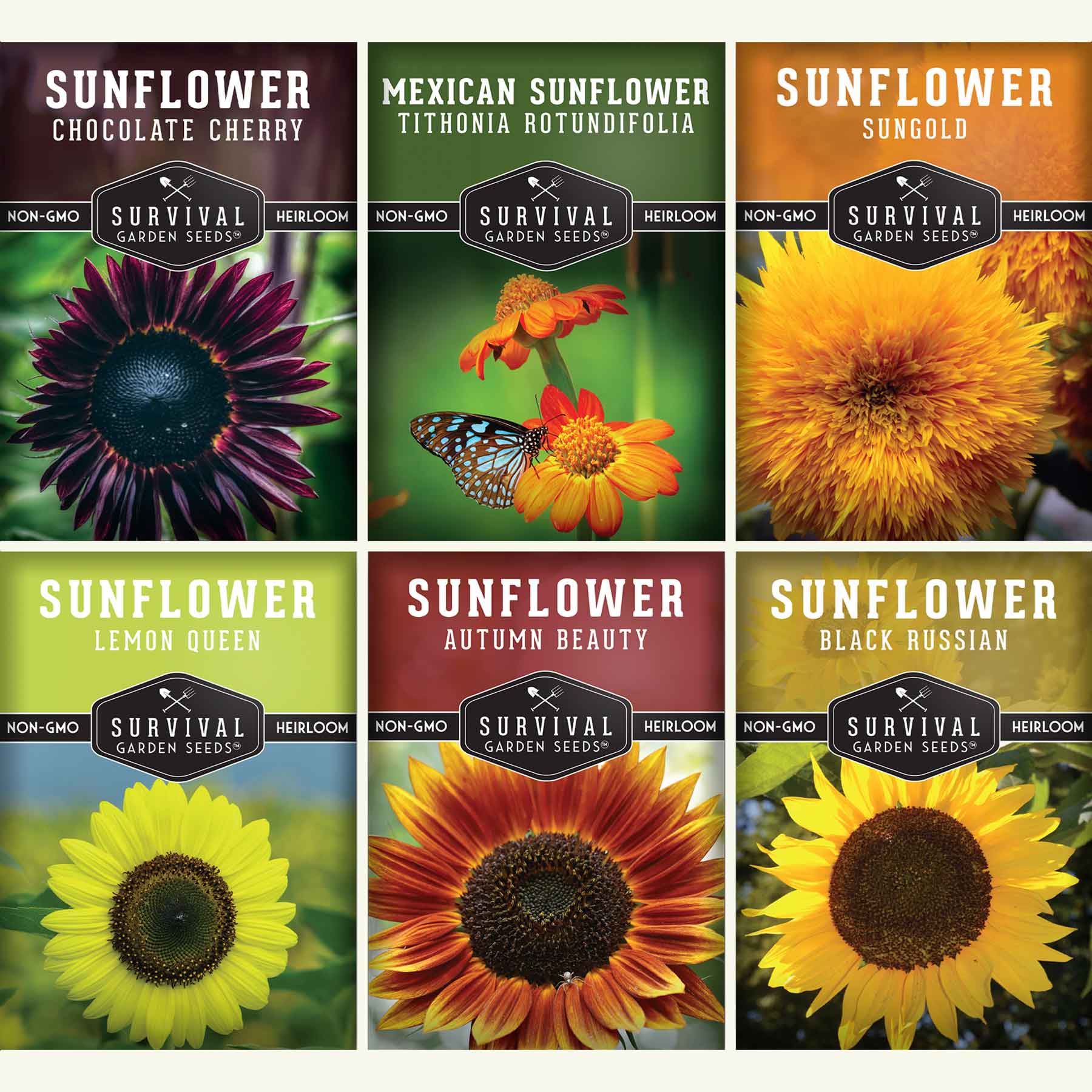6 Sunflower Collection - A Rainbow of Colorful Sunflowers – The