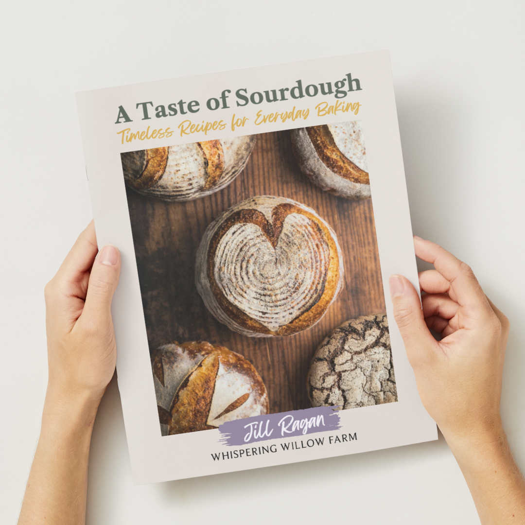 Cookbook titled 'A Taste of Sourdough' held by hands on a light background