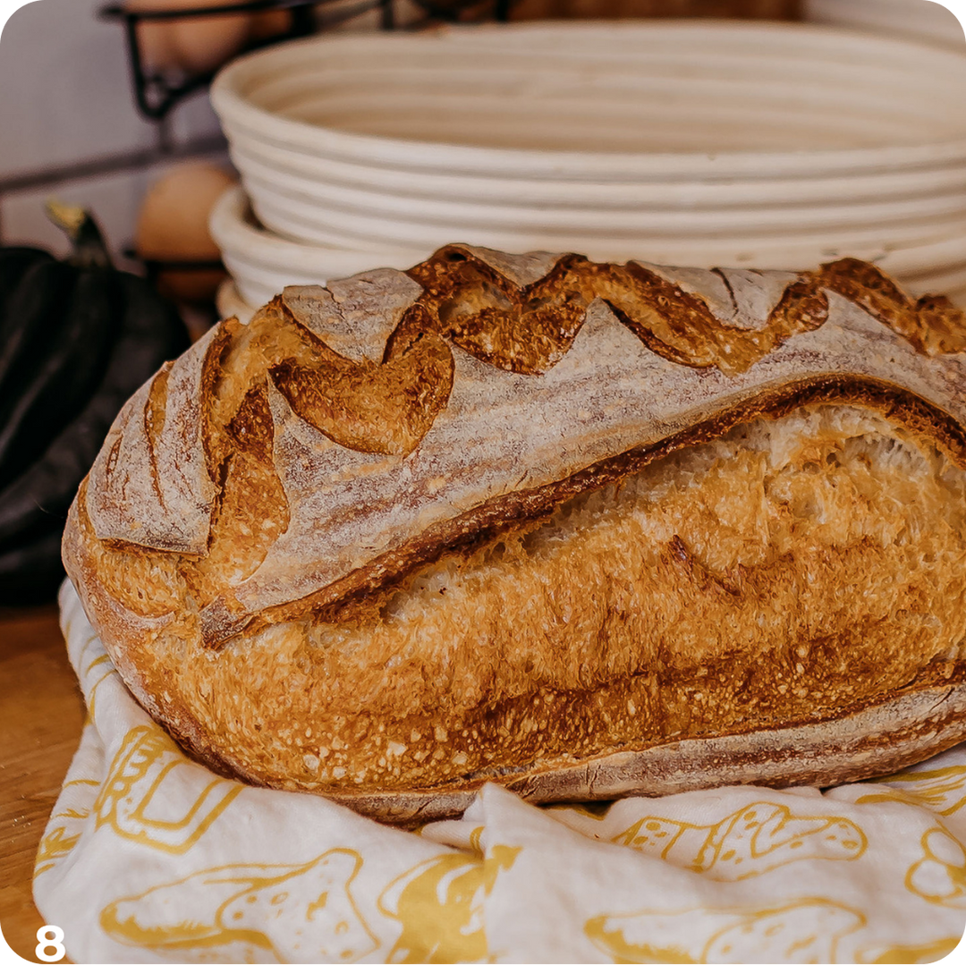 A Taste of Sourdough Cookbook