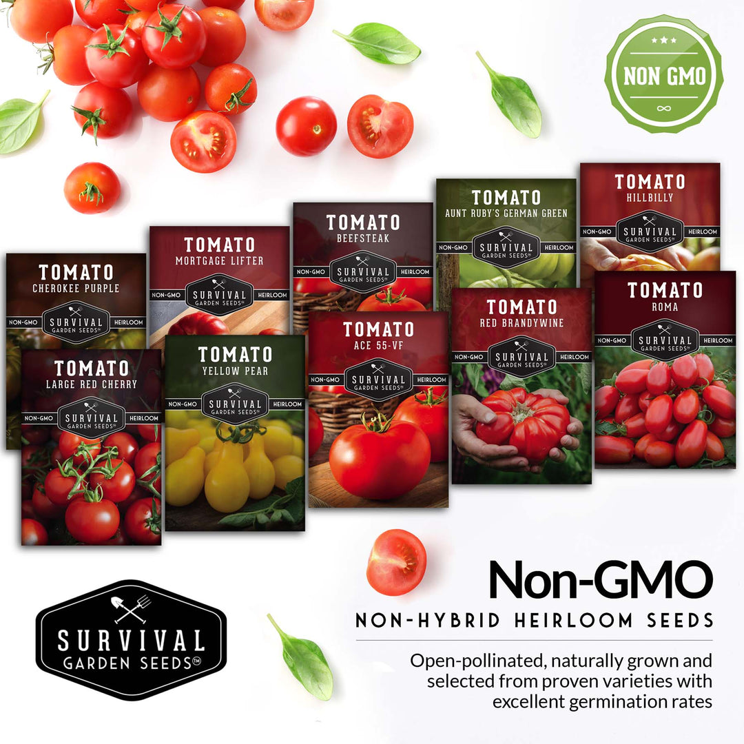 heirloom tomato plant seeds 10 Tomato Seed Collection