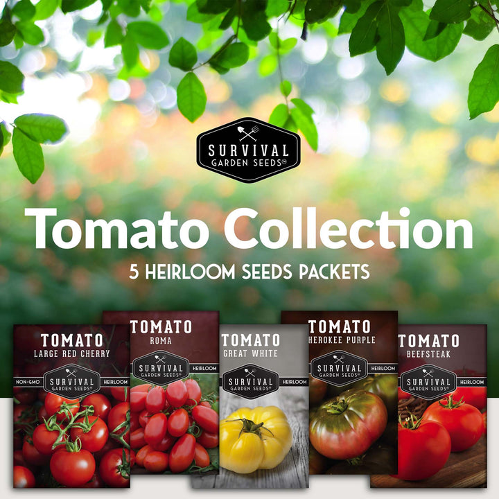 5 Tomato Collection -  Cherokee Purple, Roma, Large Red Cherry, Great White, & Beefsteak