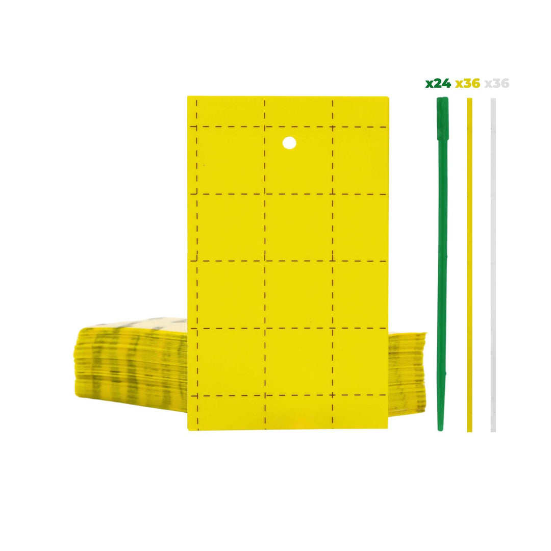 Pest Control Sticky Trap Cards