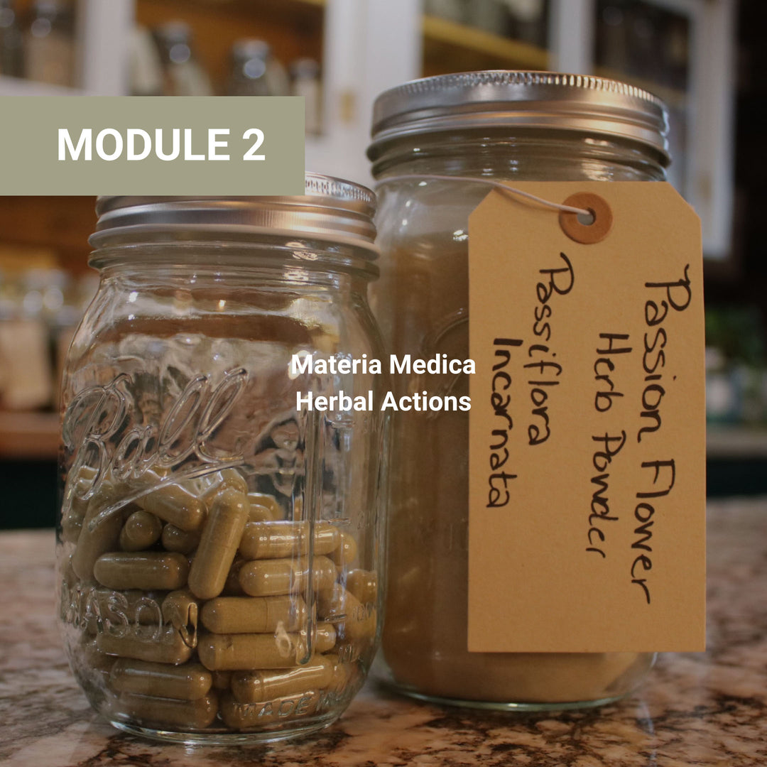 Module 2 curriculum on materia medica and herbal actions, featuring jars of herbal capsules and powder preparations.