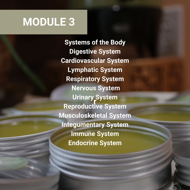 Module 3 curriculum focused on body systems, listing digestive, cardiovascular, lymphatic, respiratory, nervous, urinary, reproductive, musculoskeletal, integumentary, immune, and endocrine systems.