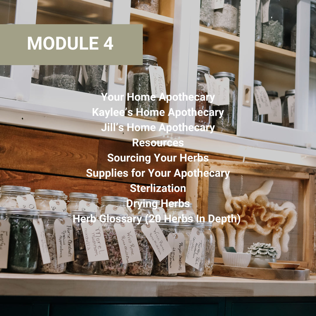  Module 4 home apothecary setup guide including instructor apothecary tours, resources for sourcing herbs and supplies, sterilization methods, drying techniques, and herb glossary.