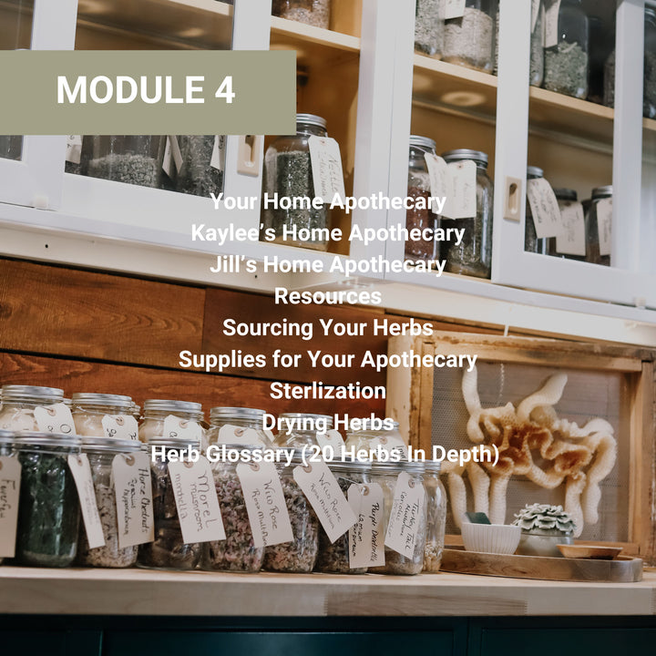  Module 4 home apothecary setup guide including instructor apothecary tours, resources for sourcing herbs and supplies, sterilization methods, drying techniques, and herb glossary.