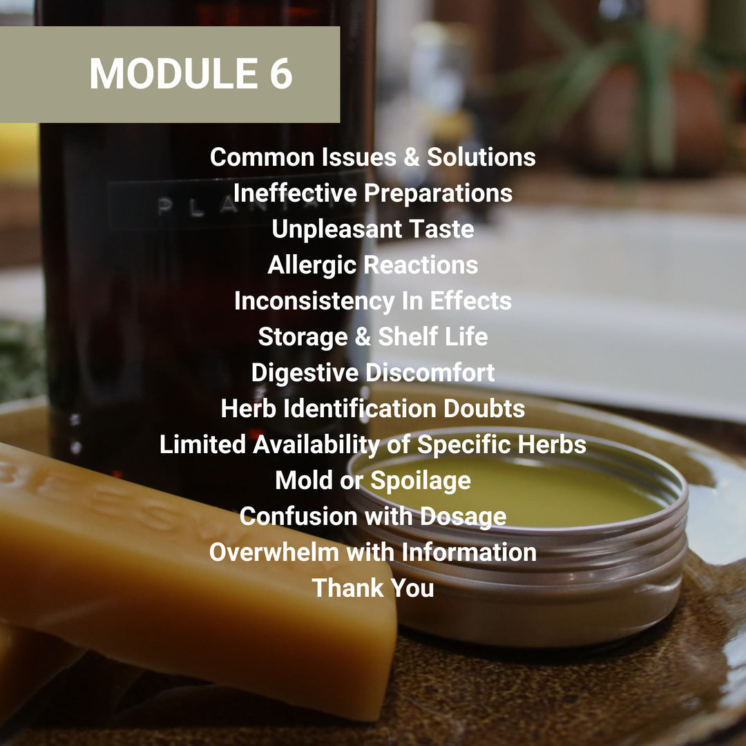 Module 6 course outline covering common herbal preparation issues and solutions, with topics including ineffective preparations, allergic reactions, storage problems, and dosage confusion.