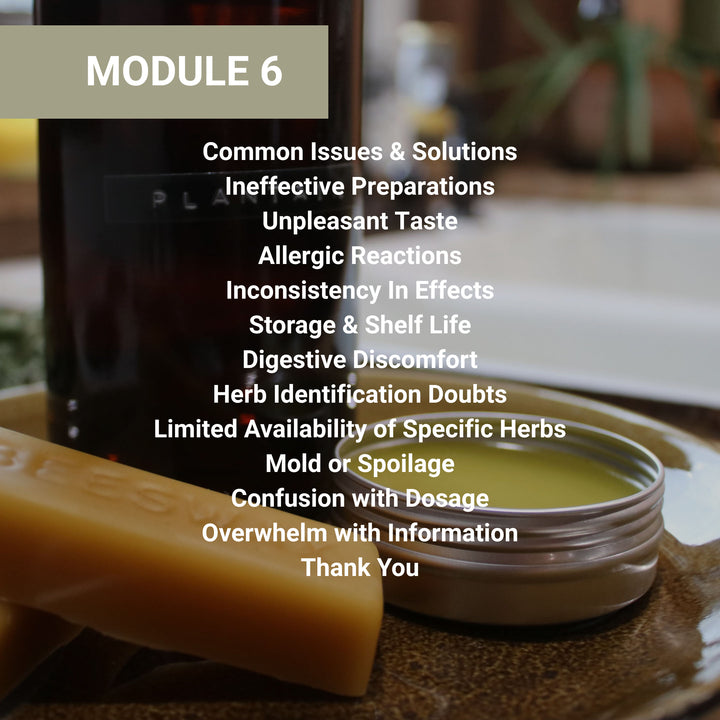Module 6 course outline covering common herbal preparation issues and solutions, with topics including ineffective preparations, allergic reactions, storage problems, and dosage confusion.