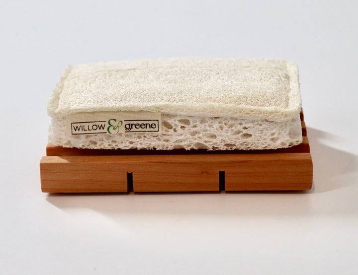 Loofah & Wood Pulp Sponge: Single Sponge