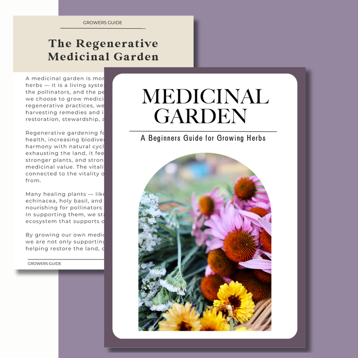 A Beginner Guide to Growing a Medicinal Garden (E-Book)