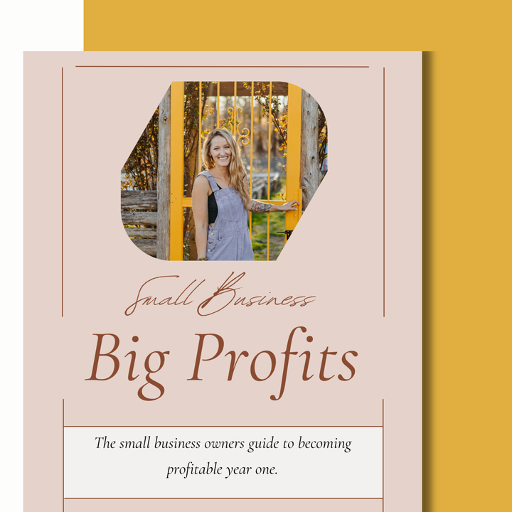 Small Business Big Profit Guide (E-Book)
