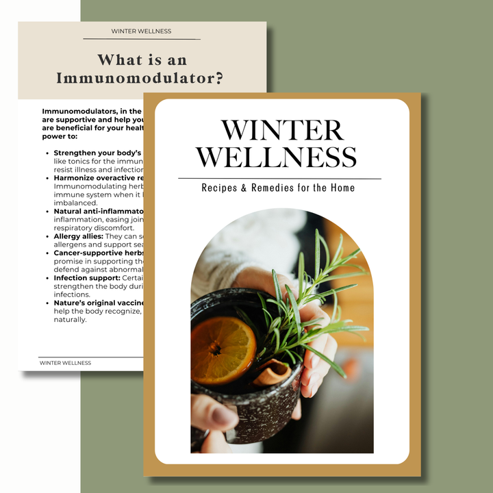 Holistic Winter Wellness Guide (E-Book)
