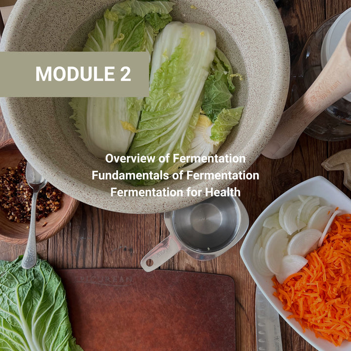 Module 2 fermentation fundamentals covering overview, basics, and health benefits, featuring napa cabbage in ceramic bowl with kitchen prep tools and ingredients.