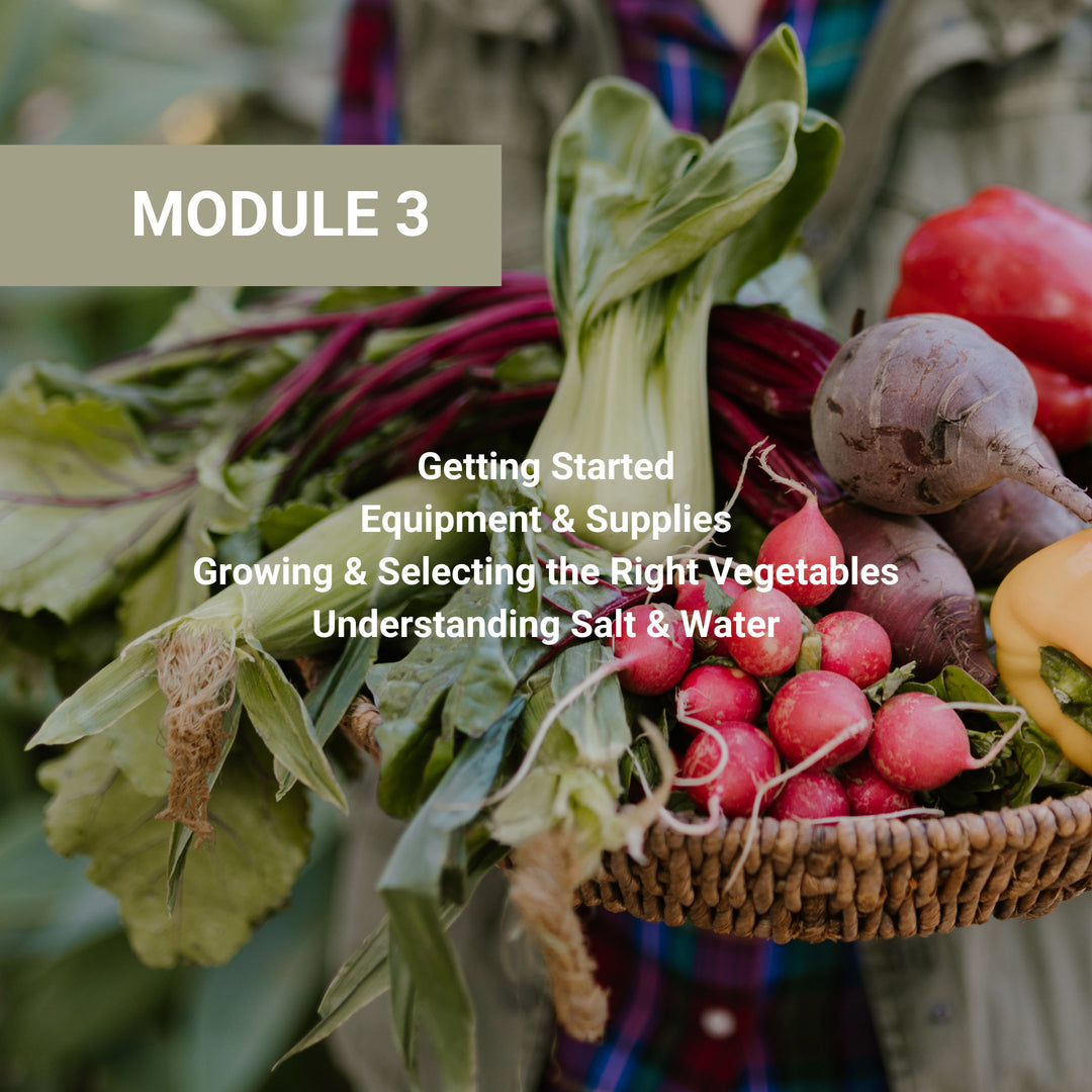 Module 3 getting started guide covering equipment, supplies, vegetable selection, and understanding salt and water, shown with fresh farmers market vegetables in basket.