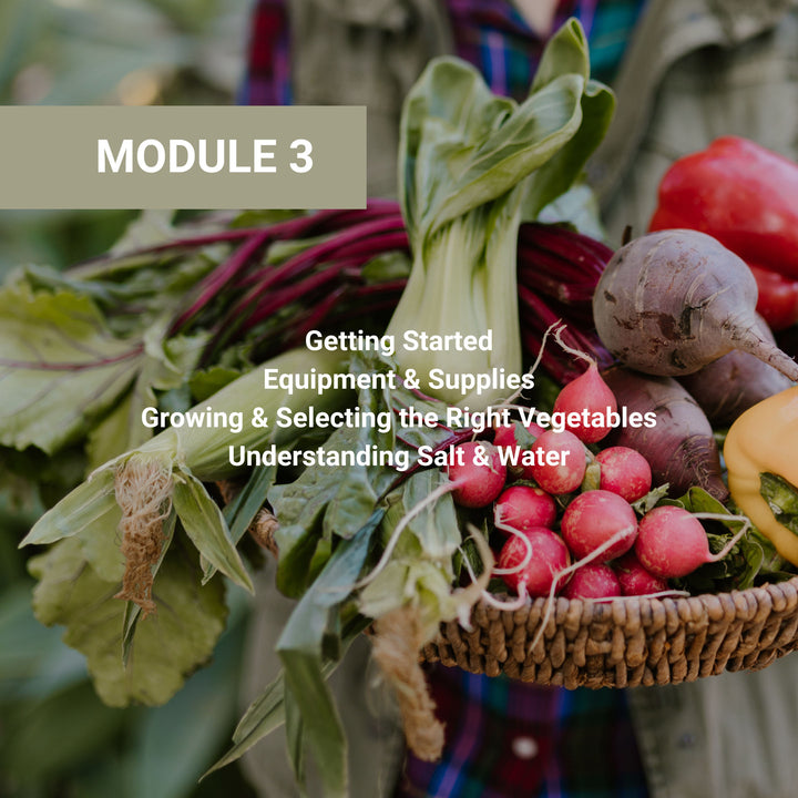 Module 3 getting started guide covering equipment, supplies, vegetable selection, and understanding salt and water, shown with fresh farmers market vegetables in basket.