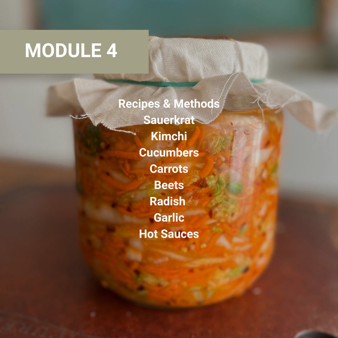 Module 4 recipes and methods section covering sauerkraut, kimchi, cucumbers, carrots, beets, radish, garlic, and hot sauces, featuring fermenting vegetables in cheesecloth-covered jar.