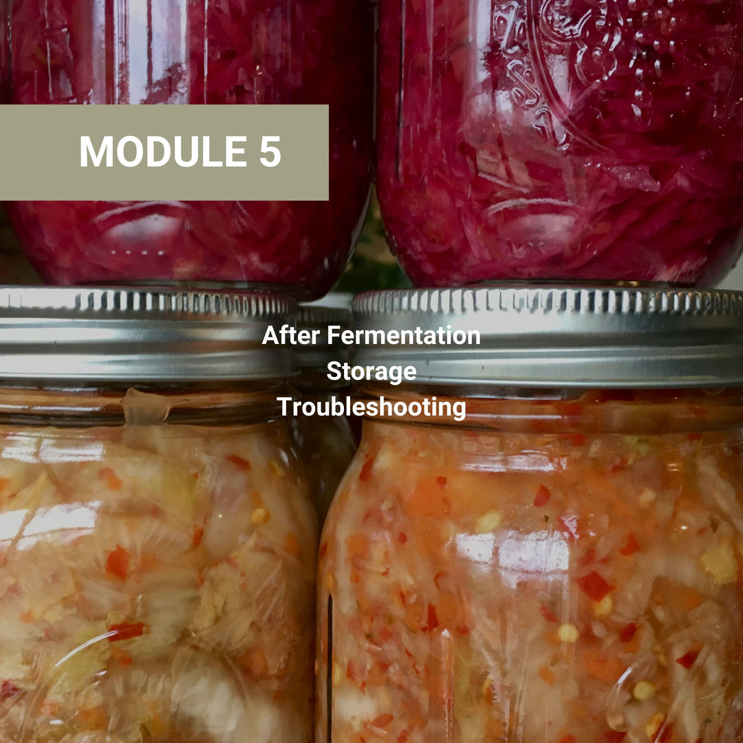 Module 5 covering post-fermentation topics including storage and troubleshooting, shown with mason jars of red and lighter colored fermented vegetables.