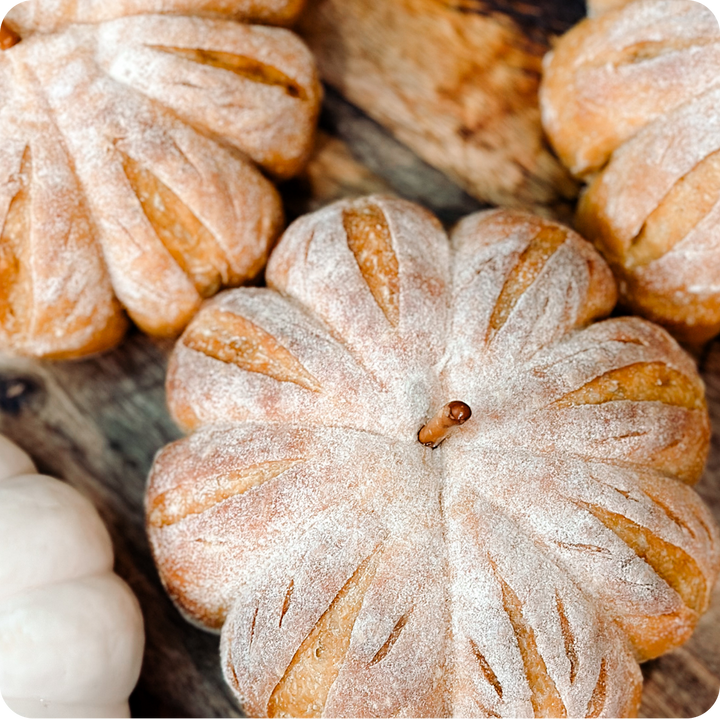 A Taste of Sourdough Cookbook