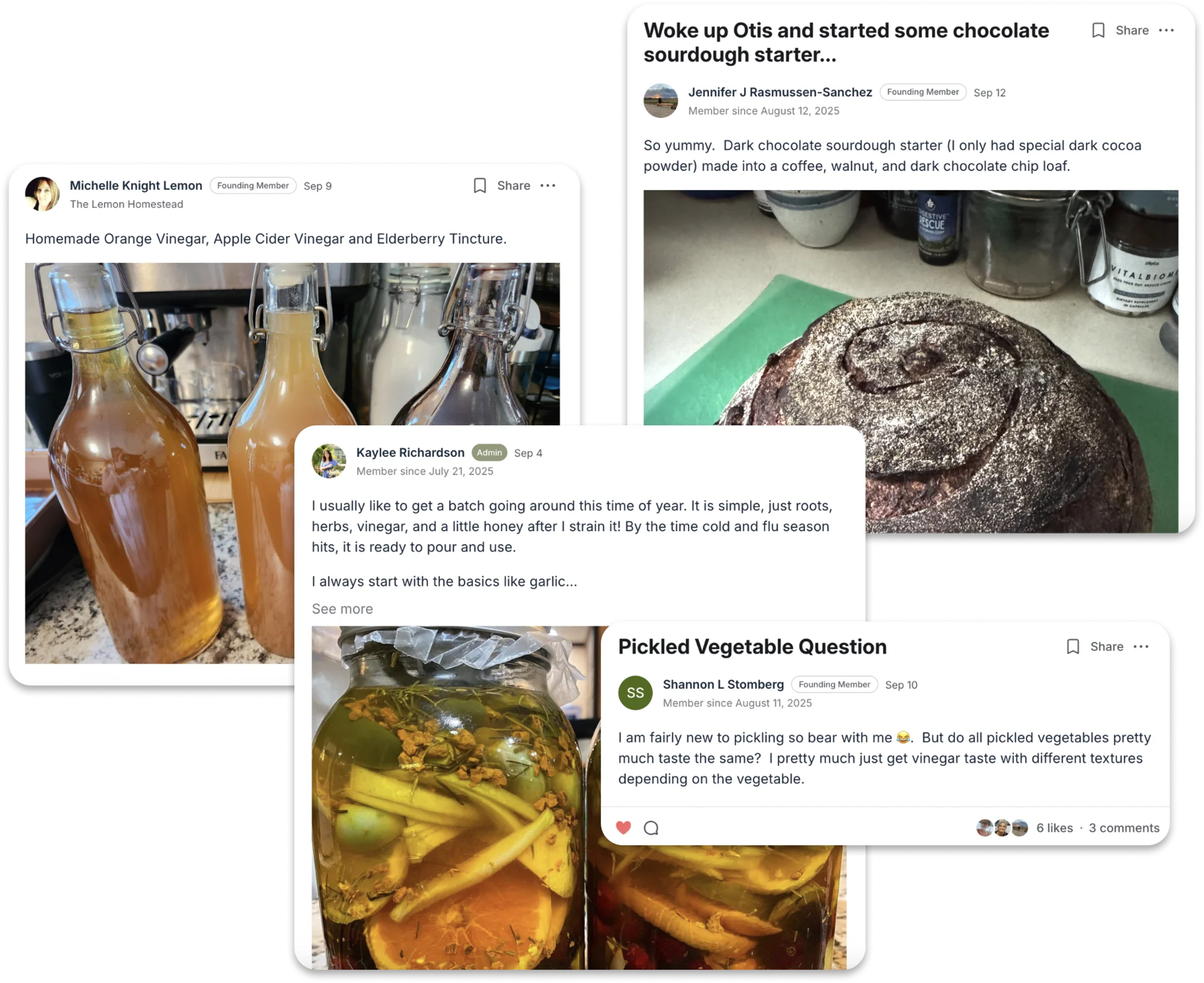 Collage of various social media posts about fermentation, pickling, and sourdough baking.