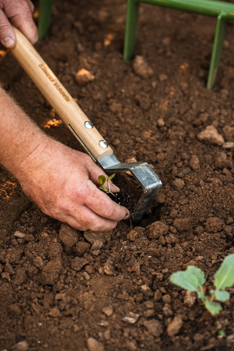 The Razor - Multifunctional Cultivator