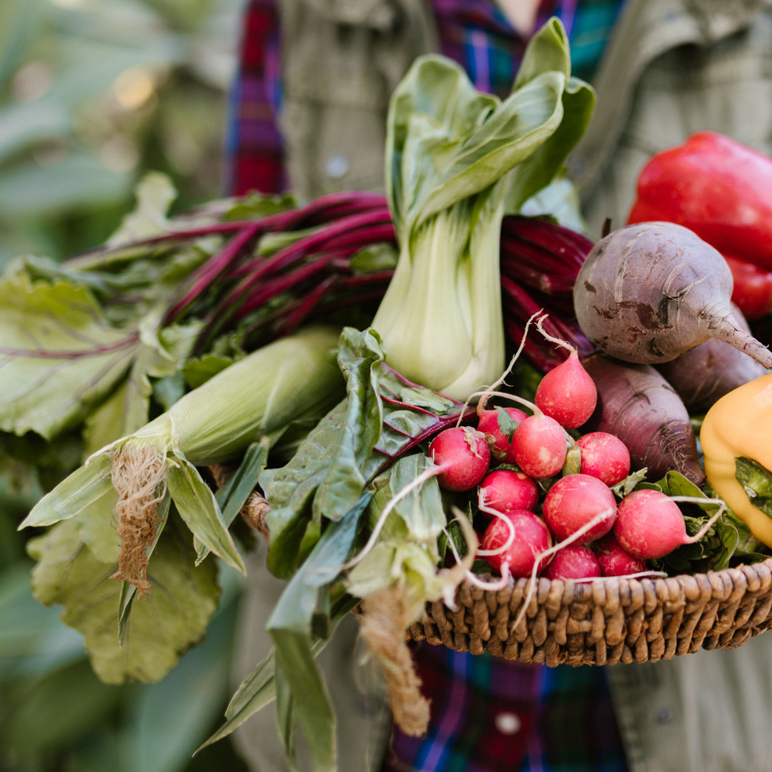 Person in plaid shirt holding wicker basket filled with fresh vegetables including corn, radishes, beets, and leafy greens at a farmers market.