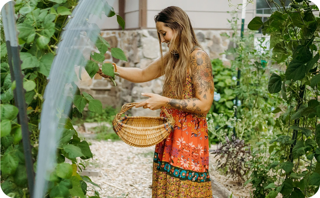 Jill in a garden holding a basket and harvesting beans