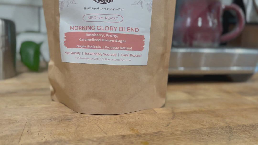 Morning Glory Coffee Blend