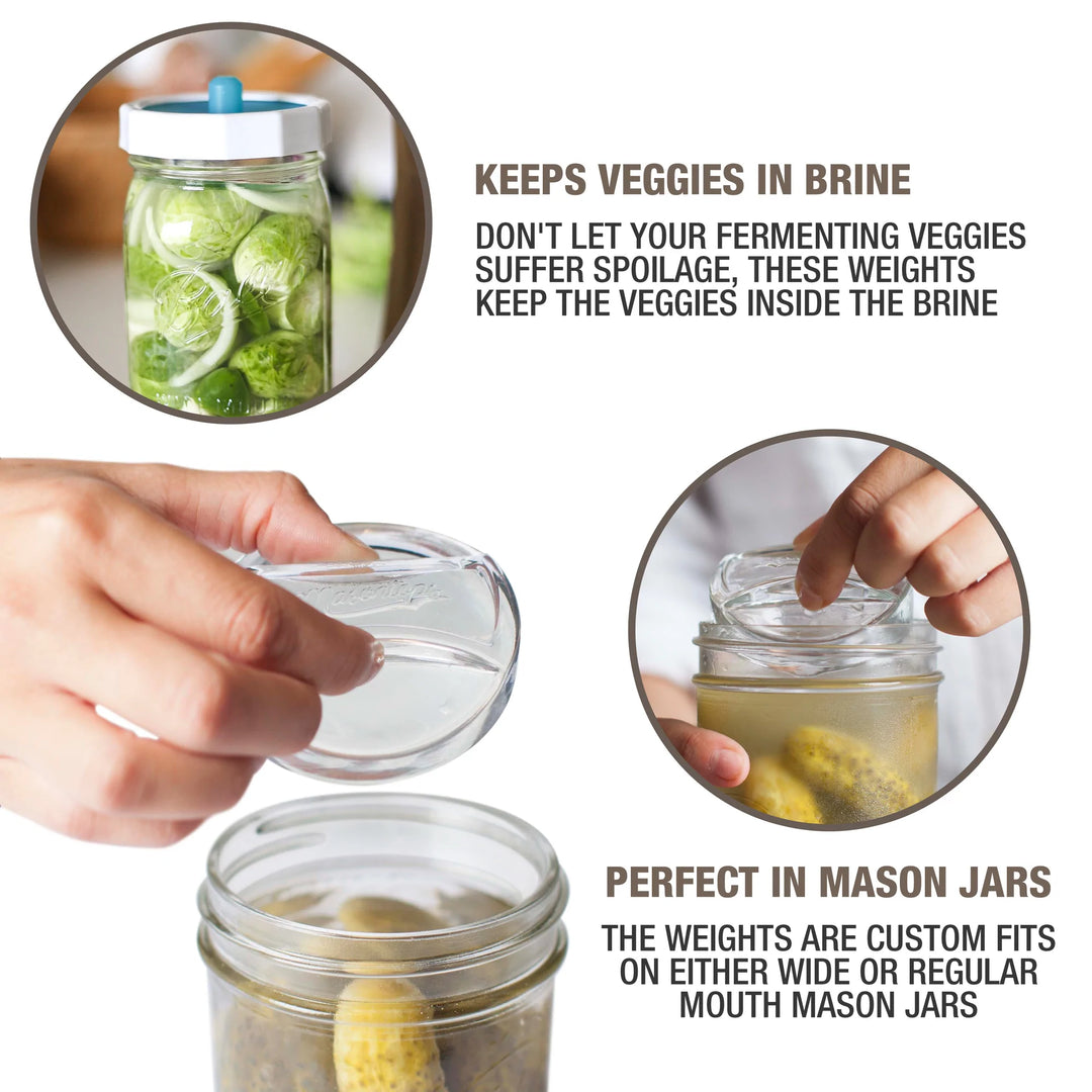 Pickle Pebbles (Glass Fermentation Weights) 4 Pack