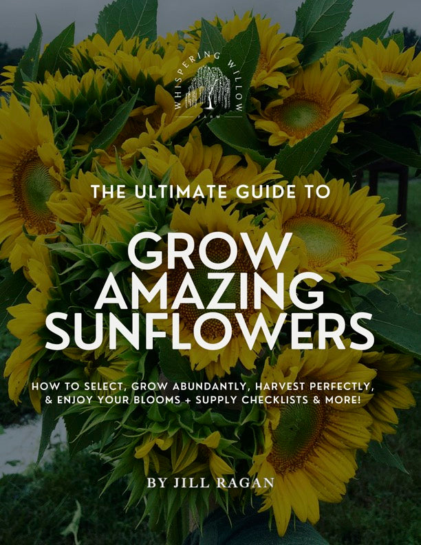Grow Amazing Sunflowers (E-Book)